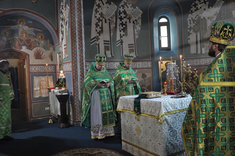 DSC_0011_новый размер