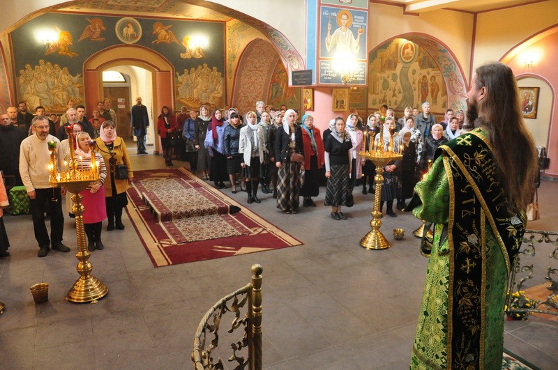 DSC_0081_новый размер