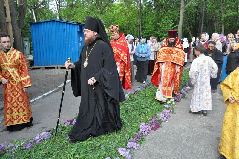 DSC_0010_новый размер